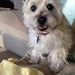 Profile Picture of Joyce Adkisson (@adkisson0449) on Pinterest