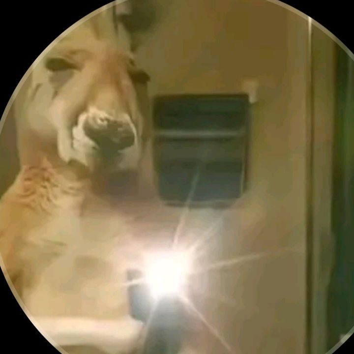 Profile Picture of Erick Alvarez (@erick.alvarez5852) on Tiktok