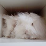 Profile Picture of John Varty (@johnvarty) on Instagram