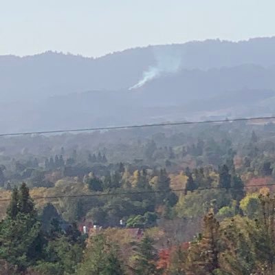 Profile Picture of Lupe Mariscal (@lupemariscal2) on Twitter