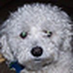 Profile Picture of Tom Carter (@jtcart) on Flickr