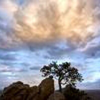 Profile Picture of Joshua Nolen (@TheJoshJames) on Twitter