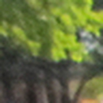 Profile Picture of Brian Ferguson (@FergHerds) on Flickr