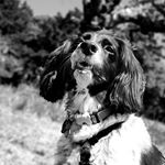 Profile Picture of Steve Schofield (@steve.schofield.1048) on Instagram
