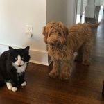 Profile Picture of Kirsten Tompkins (@kirsten.tompkins) on Instagram