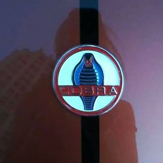 Profile Picture of Andrea Streeter (@Andrea-Streeter) on Facebook