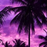 Profile Picture of David Seasar (@davidseasar) on Instagram