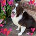 Profile Picture of Debra Wirbelauer (@debra.wirbelauer) on Facebook