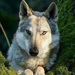 Profile Picture of Paul Bartelt (@barteltpaul) on Instagram