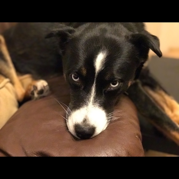 Profile Picture of James Boucher (@jmbouch17) on Poshmark