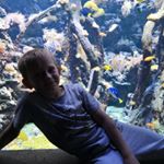 Profile Picture of Bruno morzycki (@morzyckibruno) on Instagram