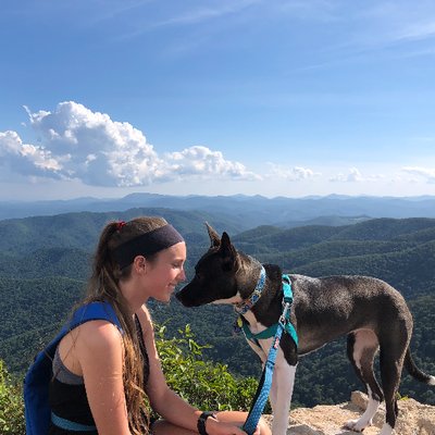 Profile Picture of Meredith Long (@mglong26) on Twitter