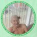 Profile Picture of Guillermo Echeverria (@guillermo.echeverria.161446) on Facebook
