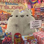 Zachary Chang - Instagram Profile Picture of Zachary Chang (@zach_chang1128) on Instagram