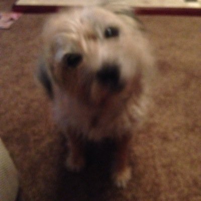 Profile Picture of Rick Singleton (@ricksingleton85) on Twitter