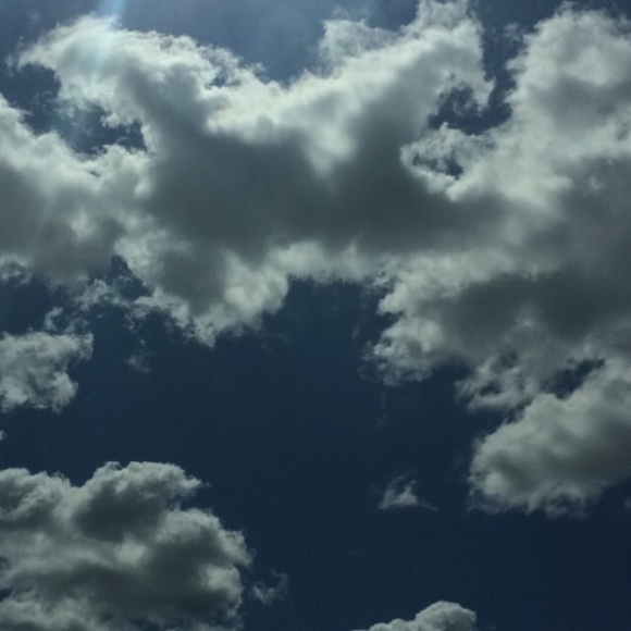 Profile Picture of Cecily Kawejsza (@ophelia100) on Poshmark