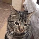 Profile Picture of Аліна Бетер (@alina.beter) on Instagram