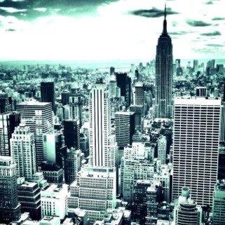 Profile Picture of Zach Chitwood (@Zach_Chitwood) on Twitter