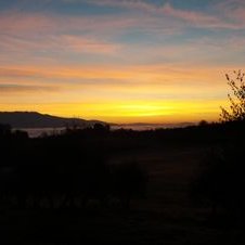 Profile Picture of Maurizio Bartolini (@Maurizi23748537) on Twitter