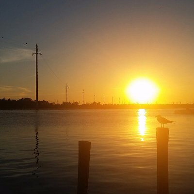 Profile Picture of Gus Gabriel (@@CCGabriel1) on Twitter