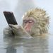 Profile Picture of Matthew Braley (@mtbraley) on Pinterest