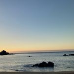 Profile Picture of Francisca Trunce (@trunc.e) on Instagram
