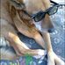 Profile Picture of Toby Pal Mundo Covarrubias (@tobypalmundo.covarrubias) on Facebook