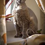 Profile Picture of jillian macias (@jillian.macias) on Instagram