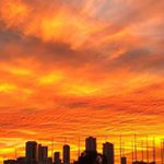 Profile Picture of David Beathard (@davidbeathard) on Instagram