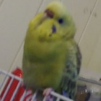 Profile Picture of Nathaniel Rabbitt (@nathaniel-rabbitt) on Quora