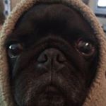 Profile Picture of Jim Klepner (@jimklepner) on Instagram