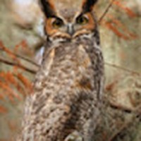Profile Picture of Kevin Macneil (@kevin-macneil-13) on Quora