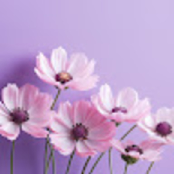 Profile Picture of Tehya Duplinsky (@tehya_duplinsky) on Poshmark