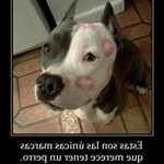 Profile Picture of Peter Gutiérrez Baute (@petergutierrezbaute) on Instagram