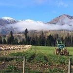 Profile Picture of Paul Ruddenklau (@paulruddenklau) on Instagram