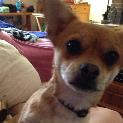 Profile Picture of Heather Pool (@Widgetsx3) on Twitter