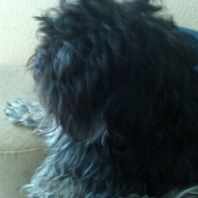 Profile Picture of Jakab Dániel (@Kuklopsz666) on Twitter