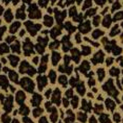 Profile Picture of Peyton Stephens (@peytonstephens) on Twitter