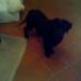 Profile Picture of Aldo Amata (@Aldo-Amata) on Facebook
