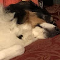 Profile Picture of Jenna Harker (@jenna-harker-4) on Quora