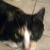 Profile Picture of Ginger McDaniel (@ginger.mcdaniel.14) on Facebook
