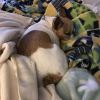 Profile Picture of Shelly Kotzian Hutchens (@shelly-kotzian-hutchens) on Quora