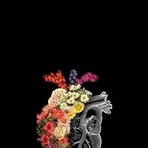 Profile Picture of Andriel Johnson (@andriel.johnson.1) on Facebook