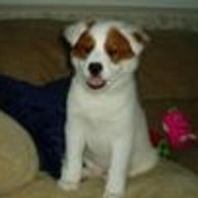 Profile Picture of Janet Mason (@hatemyex13) on Twitter