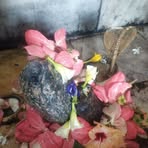 Profile Picture of Rajesh Jha Rakeshjha (@rajesh.jha.rakeshjha.2025) on Facebook