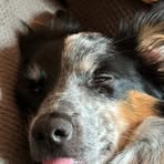 Profile Picture of Alexander Dunaway (@Alexander-Dunaway) on Facebook