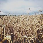 Profile Picture of Eric Finch (@eric_finchy) on Instagram