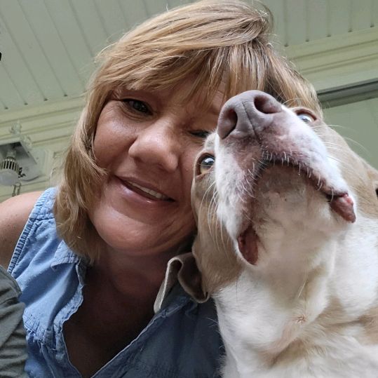 Profile Picture of lorirenfro349 (@acountrygirl2969) on Tiktok