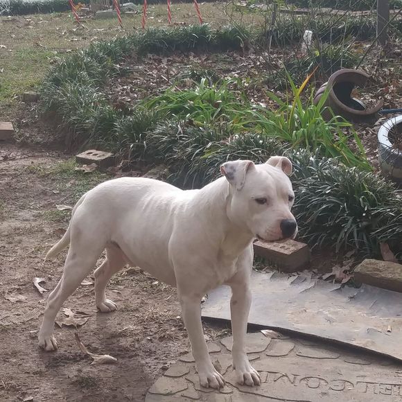 Profile Picture of Ken Price (@kingken681) on Poshmark