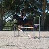 Profile Picture of   Monique Alexander... (@monique.equestrian) on Tiktok